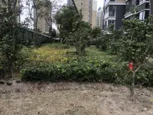 联星丽景苑 1室1厅 南