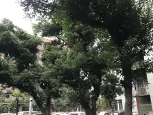 佣金6666元 一号桥 钢铁设计院三房154.5万