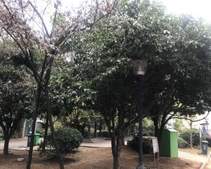摩尔城怡景园3楼顶带阁大花园近菜场商场
