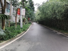 青青丽苑 1室1厅 东南