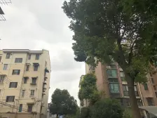 三楼好房,全明户型,价格可大砍