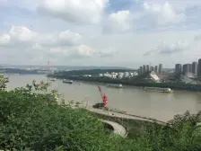 本人深耕本小区了解房源了解业主价格都可以谈的