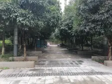 观音桥九街(6号线10号线)青青丽苑精装一室