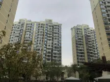 普陀区外环外,单身有一年社保就可以买,桃浦的天花板