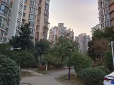 红原星城 5室2厅 东南