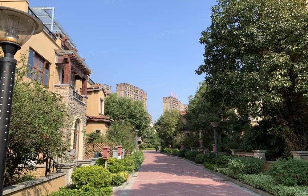 新世纪颐龙湾别墅 东江之滨一桥跨南北 东城旁热点大别墅