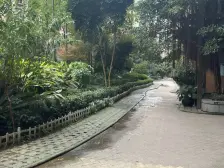 七星岗巴渝世家 跃层大阳台 出行便利 小区环境幽美