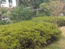 东环·新馨花园·5室·2厅