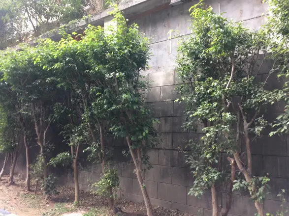 鸿翔花园