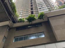 洪崖洞旁华庭嘉园小区电梯房户型方正业主诚心出售