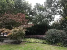 小区景观位置,双阳台,带飘窗,底楼房