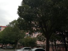 近地铁,无抵押刚需上车产权清晰,新上房源