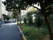 位置佳采光好,不靠马路,房型方正,地铁商圈,满五