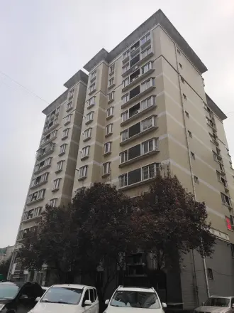电子花园