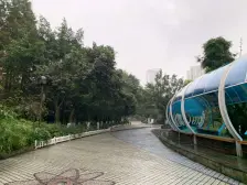 此房小区配套成熟,住家安静,小区绿化好,户型端正。