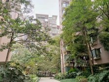 鸿阁一号 2室1厅 西