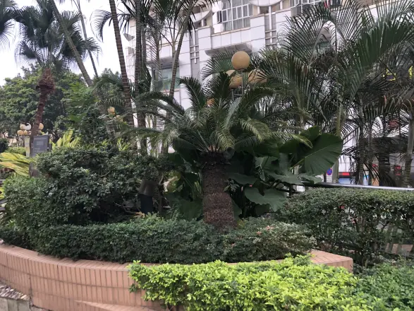 宝湖名园