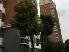 无抵押,中间楼层,现场实勘 必看好房