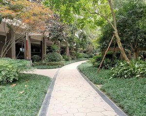 鸿阁一号1室1厅东