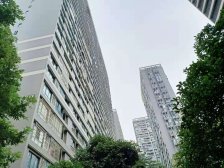 城南晶座 1室1厅 南