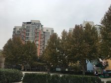 电梯房高楼层视野无遮挡近地铁双卫生间豪华精装