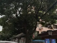 漂亮飞机三房 满五年 高得房率 闹中取静 停车方便