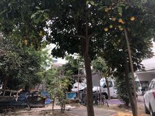 普照路104弄4室2厅南