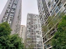 城南晶座 1室1厅 南