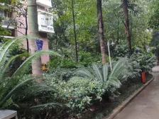 2023年8月全新精装正规一室一厅 出门即沙坪公园后门