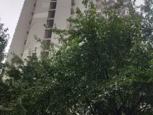 沙坪公园旁精装三房,近三峡广场,近轻轨,生活方便