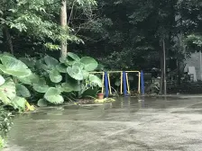 区府 富士达锦绣格林二房56.6万