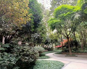 鸿阁一号2室1厅西