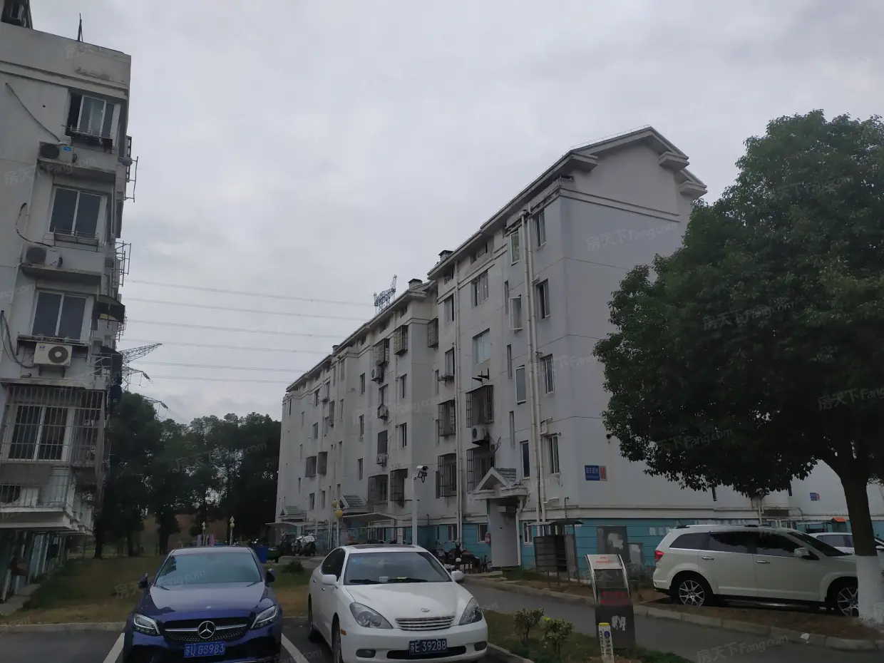 园东新村