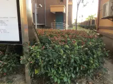 佘山 · 佘北家园紫鹃苑 · 1室 · 1厅