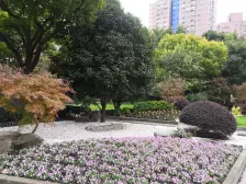 复旦九年 两梯三户 楼道干净 随时看 高区景观
