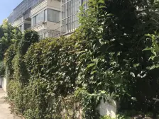 相当nice!近地铁,南北通透无遮挡,房型方正诚心出售