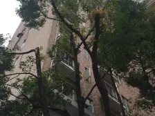 建襄+03年电梯高区全明小户型+近7/9号线肇嘉浜路地铁