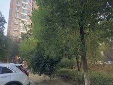 虹梅景苑二街坊1室1厅南