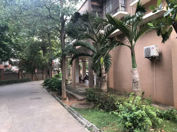 南海绿洲