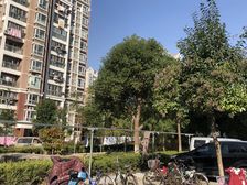 虹梅景苑四街坊2室2厅南