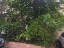 徐家汇烫金地段,地铁口出行方便,低总价电梯一房