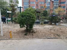 矿山路枫林绿洲电梯复式集中供暖明厅精装修