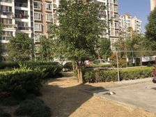 雅室一居风景佳,通透舒爽,一隅天地安享岁月从容
