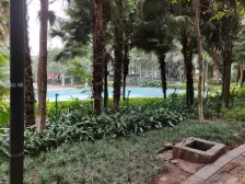 石坪桥骏逸精装1房,双轨道出行便利