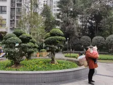 石坪桥 华美时代城三房78万