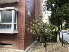 虹梅景苑二街坊2室2厅南