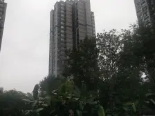 弹子石 香雨蓝苑三房87万