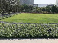 交通方便 物业管理好 环境舒服