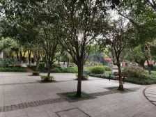 奥体双地铁站旁 户型方正 地铁站旁 交通便捷