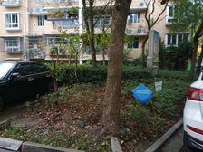 盛世嘉苑顶加阁楼大露台复试精装50万商品房前洋